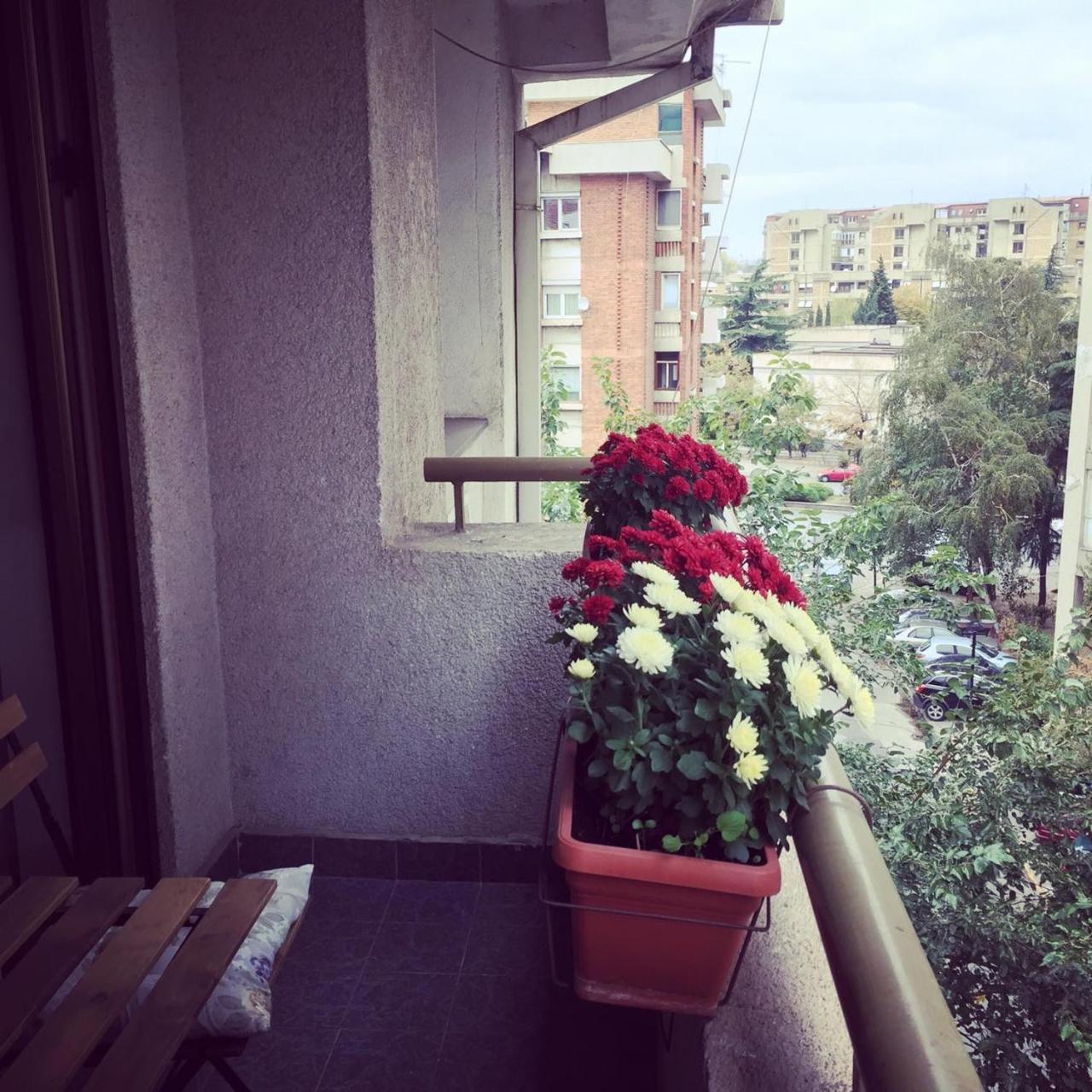 3 Bedroom Home With Parking Garage In The Heart Of 스코페 외부 사진